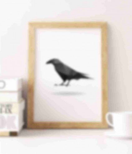raven-shop