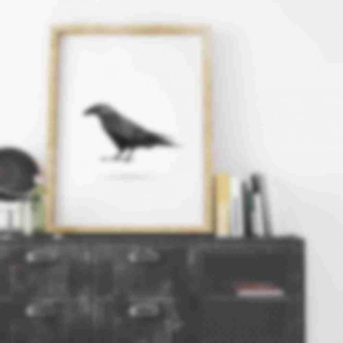 raven-shop1